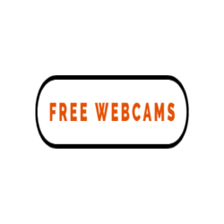 Free Webcams