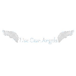 Live Cam Angels